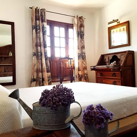 Apartamento Lavanda 公寓 *
